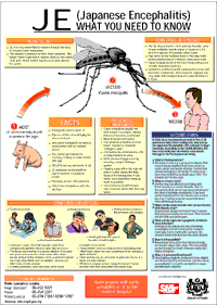 Free JE (What You Need To Know) Posters from The Star (pdf format)
