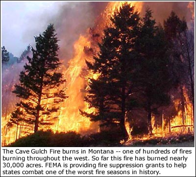 Source: From FEMA site